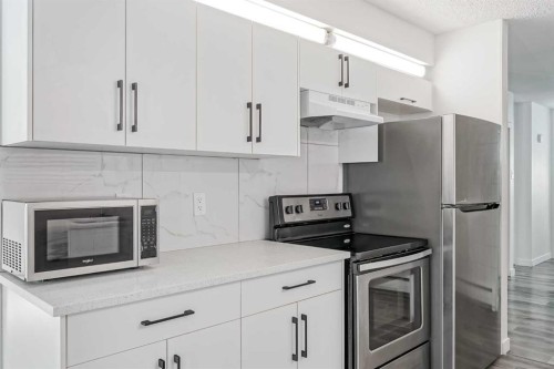 113-6919 Elbow Drive Sw, Calgary, AB - Indoor Photo Showing Kitchen With Stainless Steel Kitchen