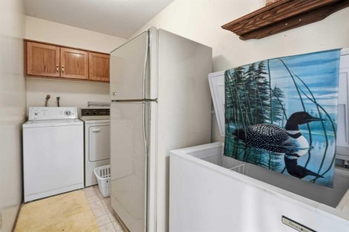 3924 56A, Camrose, AB - Indoor Photo Showing Laundry Room