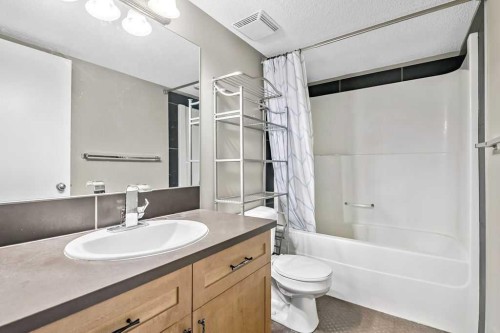 2-21 Mckenzie Towne Gate Se, Calgary, AB - Indoor Photo Showing Bathroom