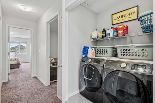 147 Evanscrest Park Nw, Calgary, AB - Indoor Photo Showing Laundry Room