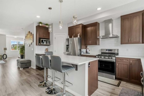147 Evanscrest Park Nw, Calgary, AB - Indoor Photo Showing Kitchen With Stainless Steel Kitchen With Upgraded Kitchen