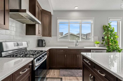 147 Evanscrest Park Nw, Calgary, AB - Indoor Photo Showing Kitchen With Upgraded Kitchen