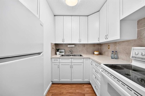 403-11010 Bonaventure Drive Se, Calgary, AB - Indoor Photo Showing Kitchen With Double Sink