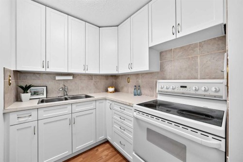 403-11010 Bonaventure Drive Se, Calgary, AB - Indoor Photo Showing Kitchen With Double Sink