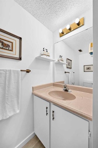 403-11010 Bonaventure Drive Se, Calgary, AB - Indoor Photo Showing Bathroom