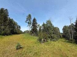 Sw15-twp 31-Rge6 w5  Rural Mountain View County, AB T0M 0M0
