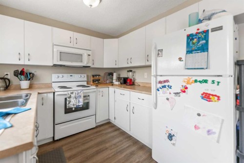 67 Falchurch Crescent Ne, Calgary, AB - Indoor Photo Showing Kitchen With Double Sink