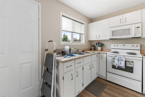 67 Falchurch Crescent Ne, Calgary, AB - Indoor Photo Showing Kitchen With Double Sink