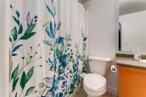 113-838 19 Avenue Sw, Calgary, AB - Indoor Photo Showing Bathroom