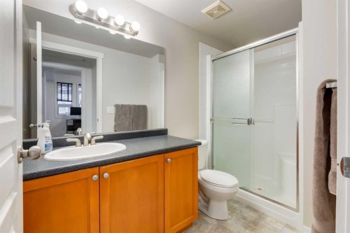 113-838 19 Avenue Sw, Calgary, AB - Indoor Photo Showing Bathroom