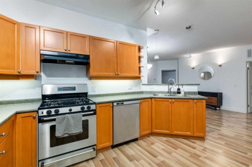 113-838 19 Avenue Sw, Calgary, AB - Indoor Photo Showing Kitchen With Double Sink