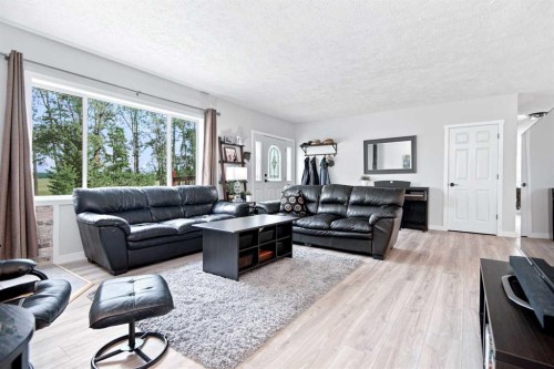 370040 Range Road 4-0, Rural Clearwater County, AB - Indoor Photo Showing Living Room