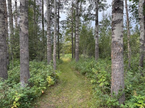 370040 Range Road 4-0, Rural Clearwater County, AB - Outdoor