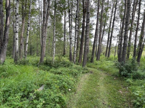 370040 Range Road 4-0, Rural Clearwater County, AB - Outdoor With View