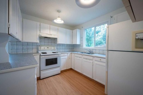2603 60 Street Ne, Calgary, AB - Indoor Photo Showing Kitchen With Double Sink