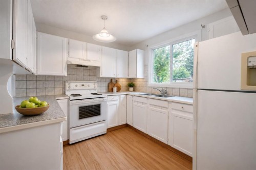 2603 60 Street Ne, Calgary, AB - Indoor Photo Showing Kitchen With Double Sink