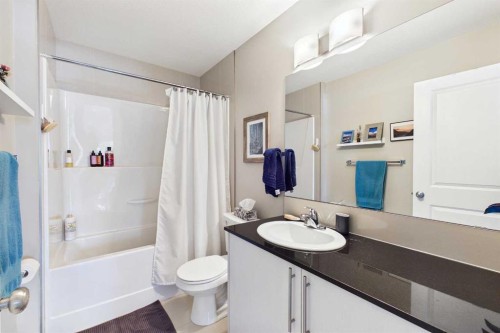 4101-5305 32 Avenue Sw, Calgary, AB - Indoor Photo Showing Bathroom