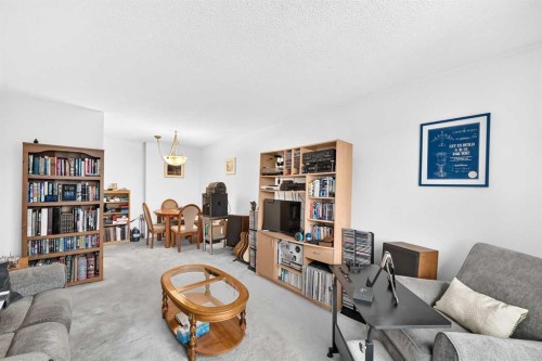403-647 1 Avenue Ne, Calgary, AB - Indoor Photo Showing Living Room