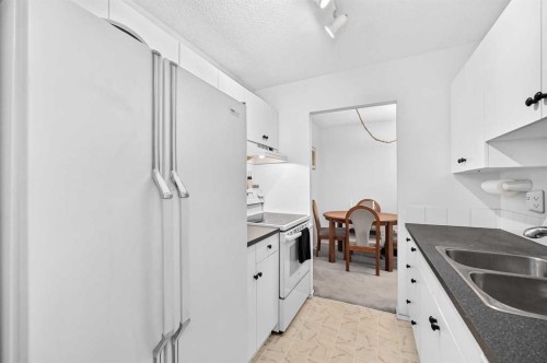 403-647 1 Avenue Ne, Calgary, AB - Indoor Photo Showing Kitchen With Double Sink