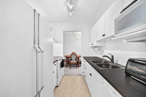 403-647 1 Avenue Ne, Calgary, AB - Indoor Photo Showing Kitchen With Double Sink