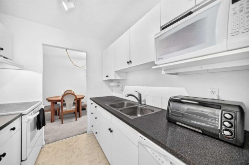 403-647 1 Avenue Ne, Calgary, AB - Indoor Photo Showing Kitchen With Double Sink