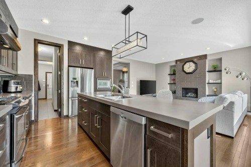 23 Cranarch Landing Se, Calgary, AB - Indoor Photo Showing Kitchen With Stainless Steel Kitchen With Double Sink With Upgraded Kitchen