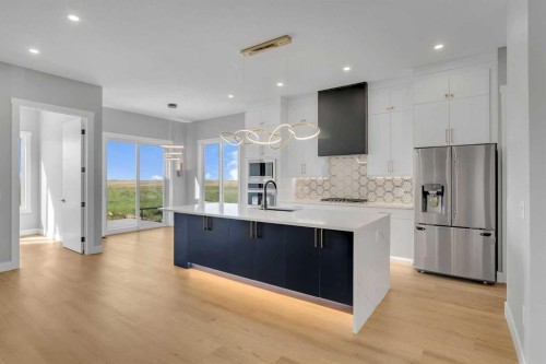 282 Muirfield Crescent, Lyalta, AB - Indoor Photo Showing Kitchen With Stainless Steel Kitchen With Upgraded Kitchen