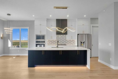 282 Muirfield Crescent, Lyalta, AB - Indoor Photo Showing Kitchen With Upgraded Kitchen