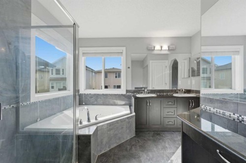 174 Morningside Circle Sw, Airdrie, AB - Indoor Photo Showing Bathroom