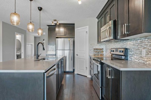 139 Auburn Meadows Place Se, Calgary, AB - Indoor Photo Showing Kitchen With Stainless Steel Kitchen With Upgraded Kitchen