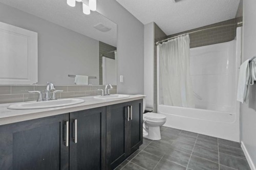 139 Auburn Meadows Place Se, Calgary, AB - Indoor Photo Showing Bathroom
