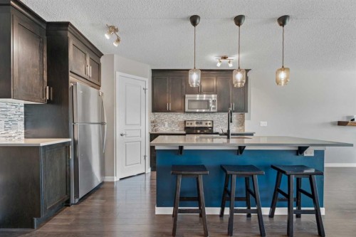 139 Auburn Meadows Place Se, Calgary, AB - Indoor Photo Showing Kitchen With Stainless Steel Kitchen With Upgraded Kitchen