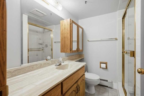 119 Strathbury Bay Sw, Calgary, AB - Indoor Photo Showing Bathroom
