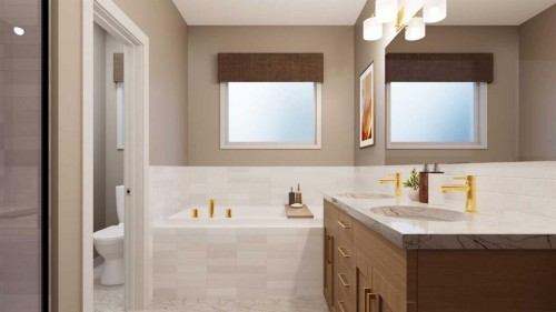 228 Cornerbrook Road Ne, Calgary, AB - Indoor Photo Showing Bathroom