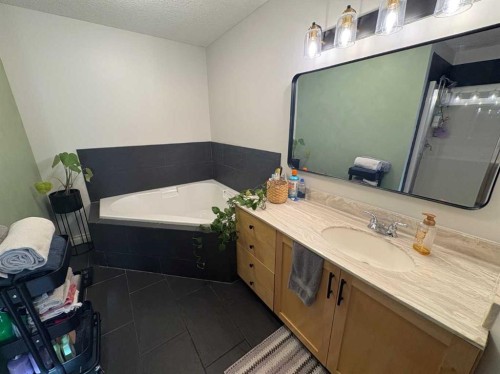229-910 Centre Avenue Ne, Calgary, AB - Indoor Photo Showing Bathroom