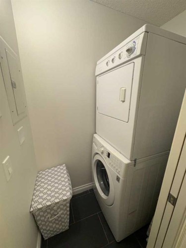 229-910 Centre Avenue Ne, Calgary, AB - Indoor Photo Showing Laundry Room