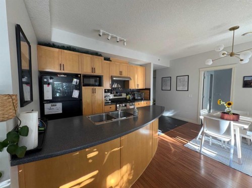 229-910 Centre Avenue Ne, Calgary, AB - Indoor Photo Showing Kitchen With Double Sink