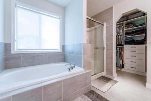240 Willowmere Close, Chestermere, AB - Indoor Photo Showing Bathroom