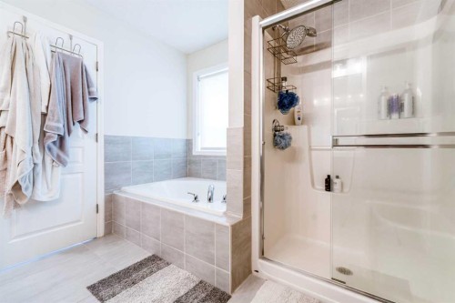 240 Willowmere Close, Chestermere, AB - Indoor Photo Showing Bathroom