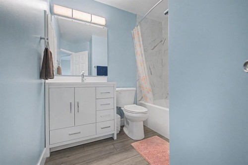 172 Coverton Circle Ne, Calgary, AB - Indoor Photo Showing Bathroom