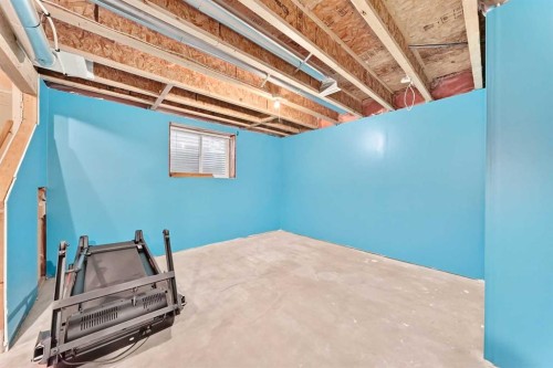 133 Prestwick Heights Se, Calgary, AB - Indoor Photo Showing Basement