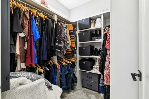 17 Royal Elm Green Nw, Calgary, AB - Indoor With Storage