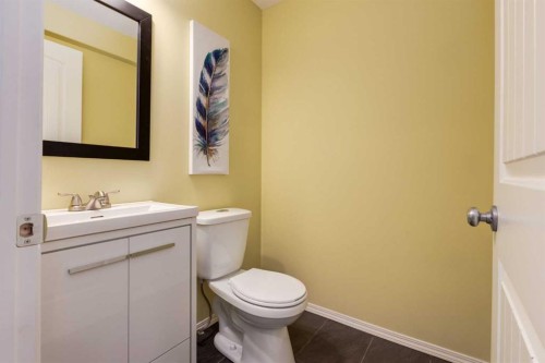 5 Brightonstone Grove Se, Calgary, AB - Indoor Photo Showing Bathroom
