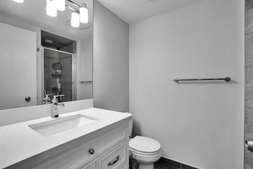 36 Coach Manor Rise Sw, Calgary, AB - Indoor Photo Showing Bathroom