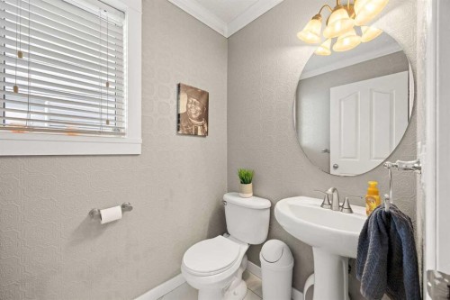19 Covemeadow Crescent Ne, Calgary, AB - Indoor Photo Showing Bathroom