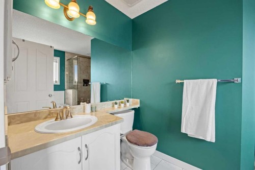 19 Covemeadow Crescent Ne, Calgary, AB - Indoor Photo Showing Bathroom