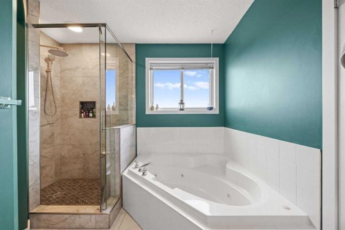 19 Covemeadow Crescent Ne, Calgary, AB - Indoor Photo Showing Bathroom