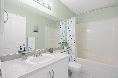 19 Covemeadow Crescent Ne, Calgary, AB - Indoor Photo Showing Bathroom