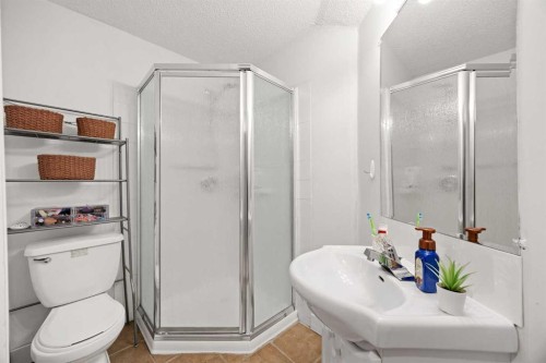 19 Covemeadow Crescent Ne, Calgary, AB - Indoor Photo Showing Bathroom