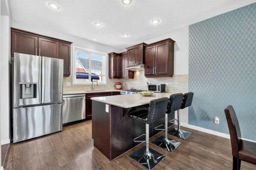 27 Red Embers Lane Ne, Calgary, AB - Indoor Photo Showing Kitchen With Stainless Steel Kitchen With Upgraded Kitchen
